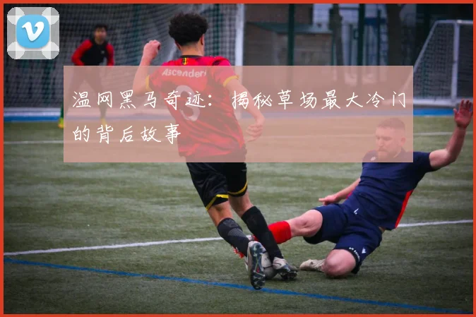 温网黑马奇迹:揭秘草场最大冷门的背后故事